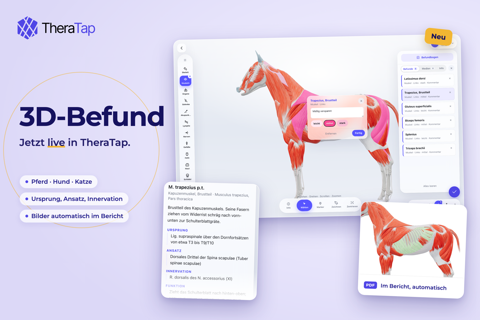 3D-Befund: Befunde direkt am drehbaren Modell