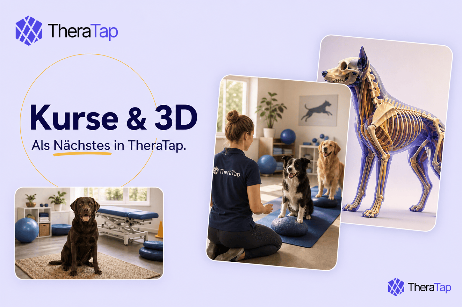 Bald in TheraTap: Kurse und 3D-Modelle